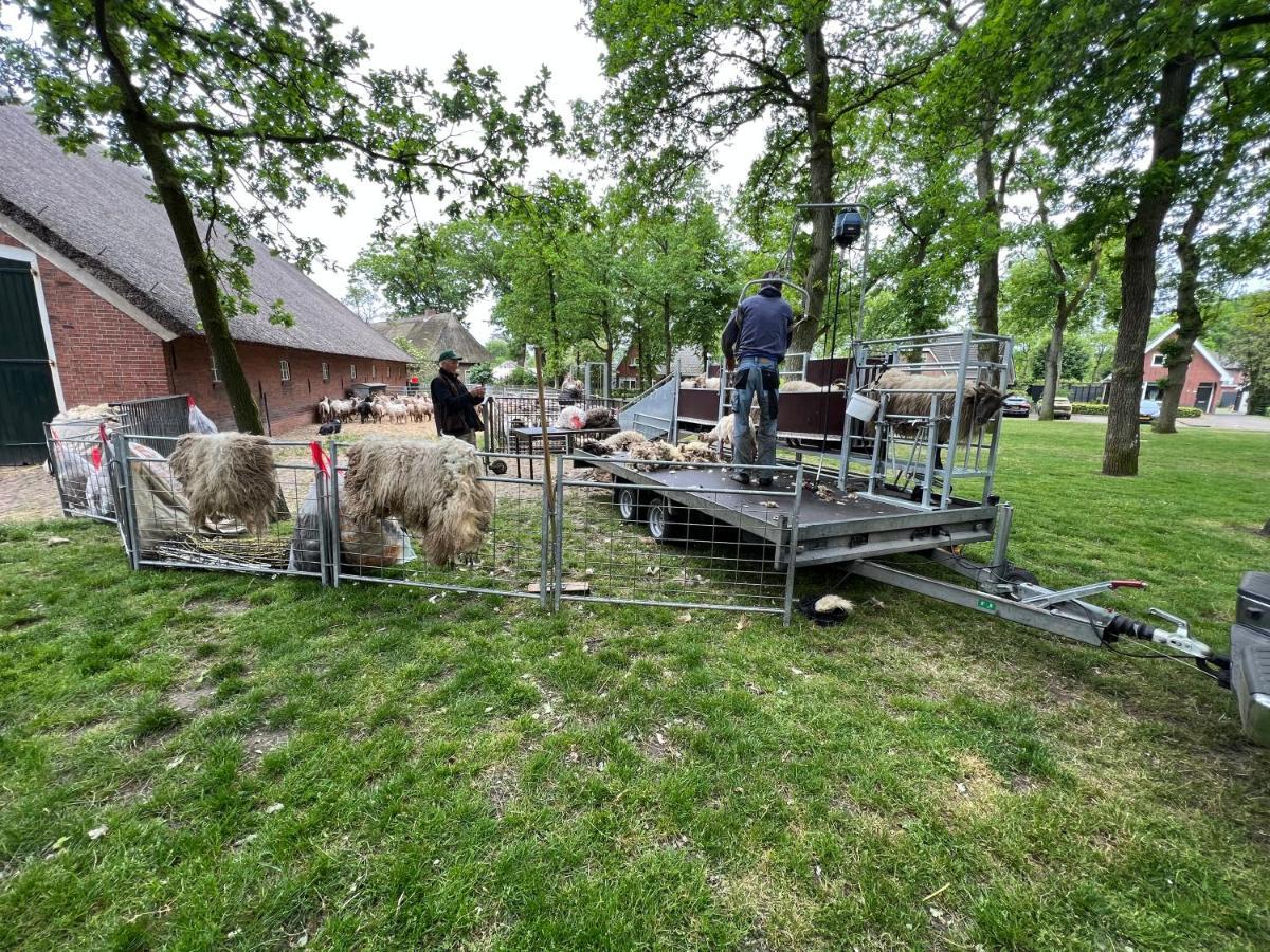 'T Bosrandje Villa Odoorn Luaran gambar
